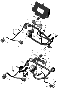 Rotax - Engine Harness And Electronic Module