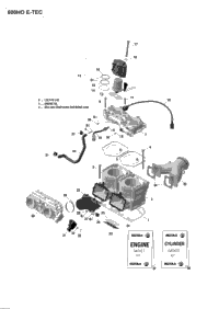 Cylinder And Cylinder Head - 600Ho E-Tec