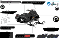 Body - Decals