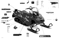 Decals - Xtreme