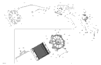 Engine - Cooling