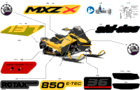 Body - Decals