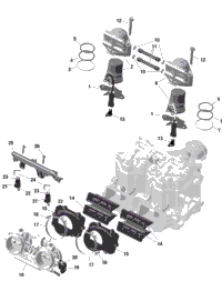 Rotax - Electronic Fuel Injection
