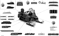 Body - Decals - Ltd