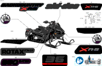 Body - Decals