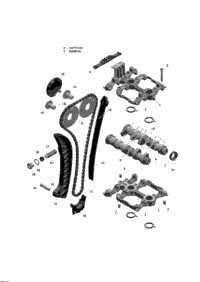 Camshafts And Timing Chain - 600 Ace