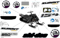 Body - Decals