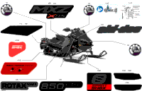 Body - Decals
