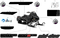 Body - Decals