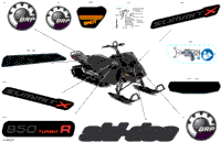 Body - Decals