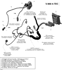 Engine Harness And Electronic Module