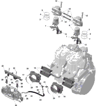 Rotax - Electronic Fuel Injection