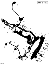 Engine Harness - All Models