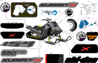 Body - Decals