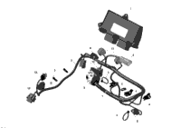 Engine Harness And Electronic Module