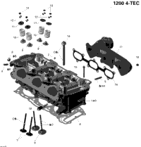 Cylinder And Exhaust Manifold
