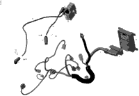 Engine Harness And Electronic Module