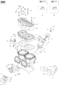 Cylinder, Exhaust Manifold, Reed Valve (593)
