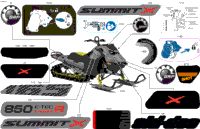 Body - Decals