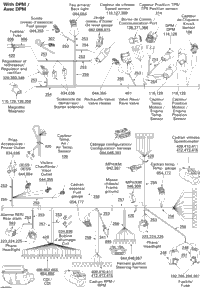 Electrical Harness With Dpm