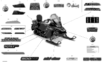 Body - Decals - Ltd