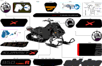 Body - Decals