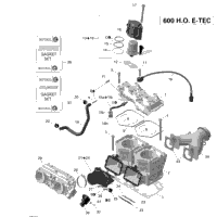 Cylinder And Cylinder Head