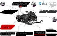 Body - Decals