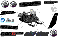 Body - Decals