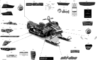 Body - Decals - 165