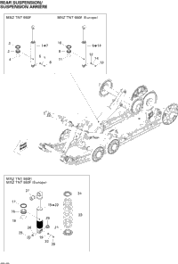 Rear Suspension Shocks