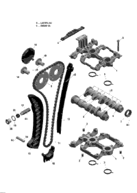 Camshafts And Timing Chain