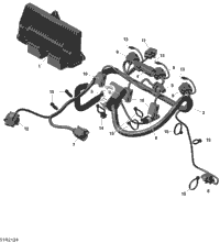 Rotax - Engine Harness And Electronic Module