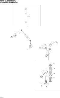 Rear Suspension Shocks