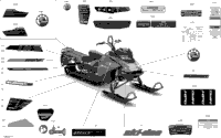 Body - Decals - Sp - 165