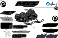 Body - Decals