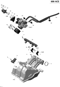 Air Intake Manifold And Throttle Body