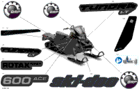 Body - Decals