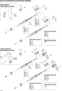 Take Apart Shock, Rear 600Ho
