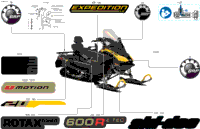 Body - Decals