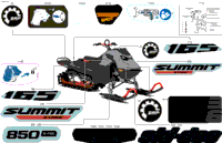 Body - Decals