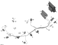 Engine Harness And Electronic Module