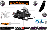 Body - Decals