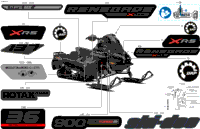 Body - Decals