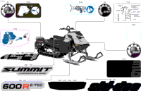 Body - Decals