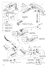 Electrical System