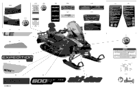 Body - Decals