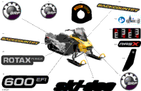 Body - Decals