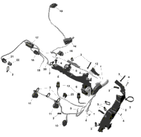 Rotax - Engine Harness And Electronic Module