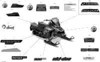 Body - Decals - Enduro